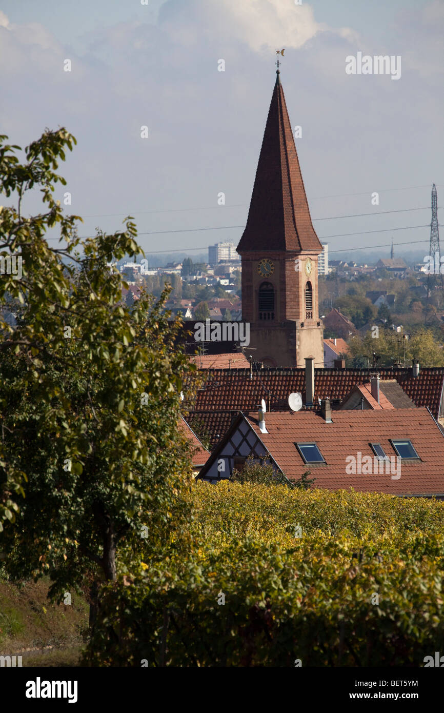 Chiesa di Wettolsheim Alsace Haut Rhin Francia vicino Château du Haut-Koenigsbourg Harvest vendanges stagione Foto Stock