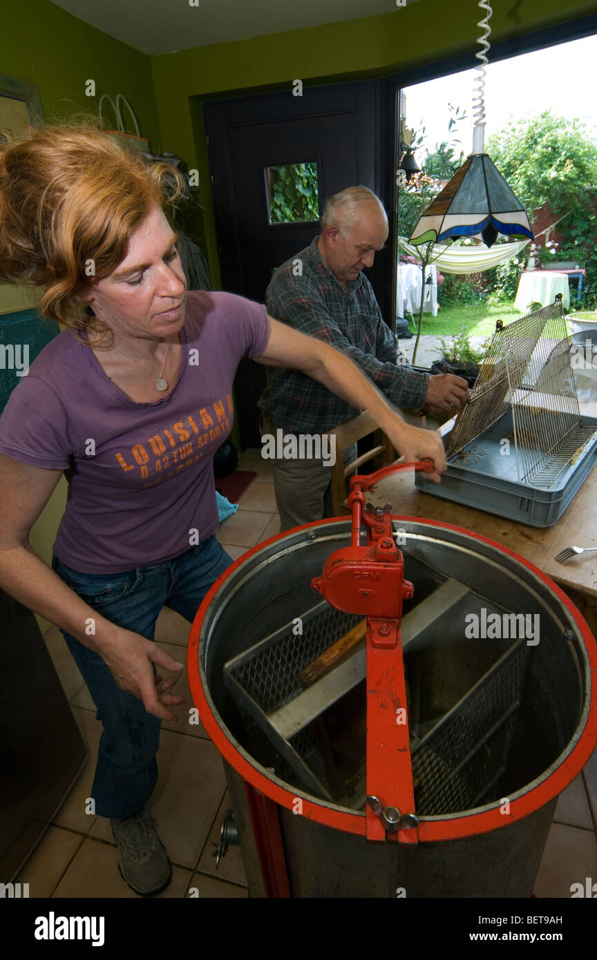 Spin apicoltore di estrattore centrifugo come una centrifuga tirando il miele dai favi in casa per il consumo Foto Stock