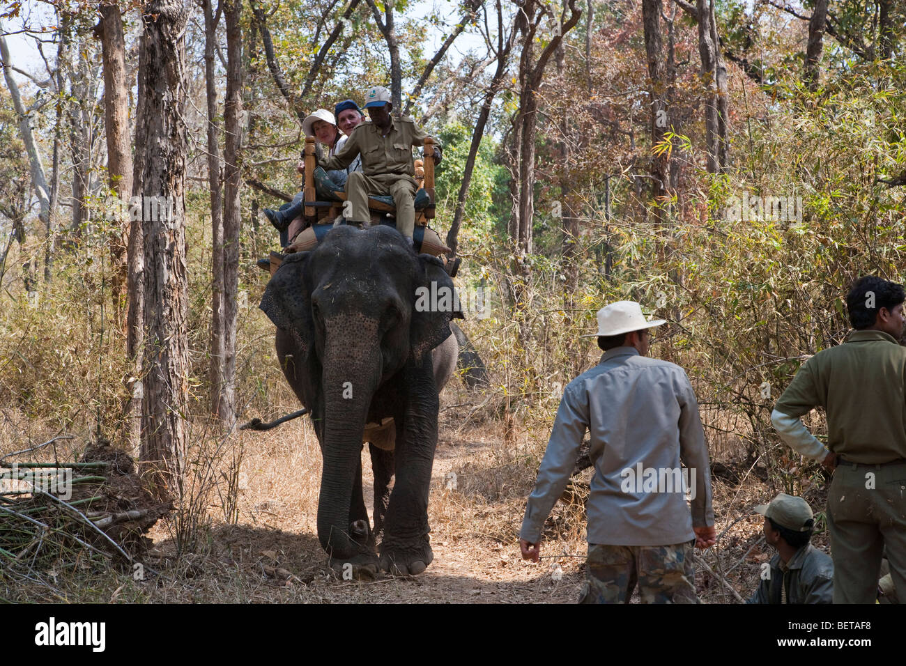 Mahout dirige l'elefante indiano con l'avventura eco turisti sulla fauna selvatica safari ride through rurale nella Foresta Nazionale di Kanha Parco nel Madhya Pradesh India Foto Stock