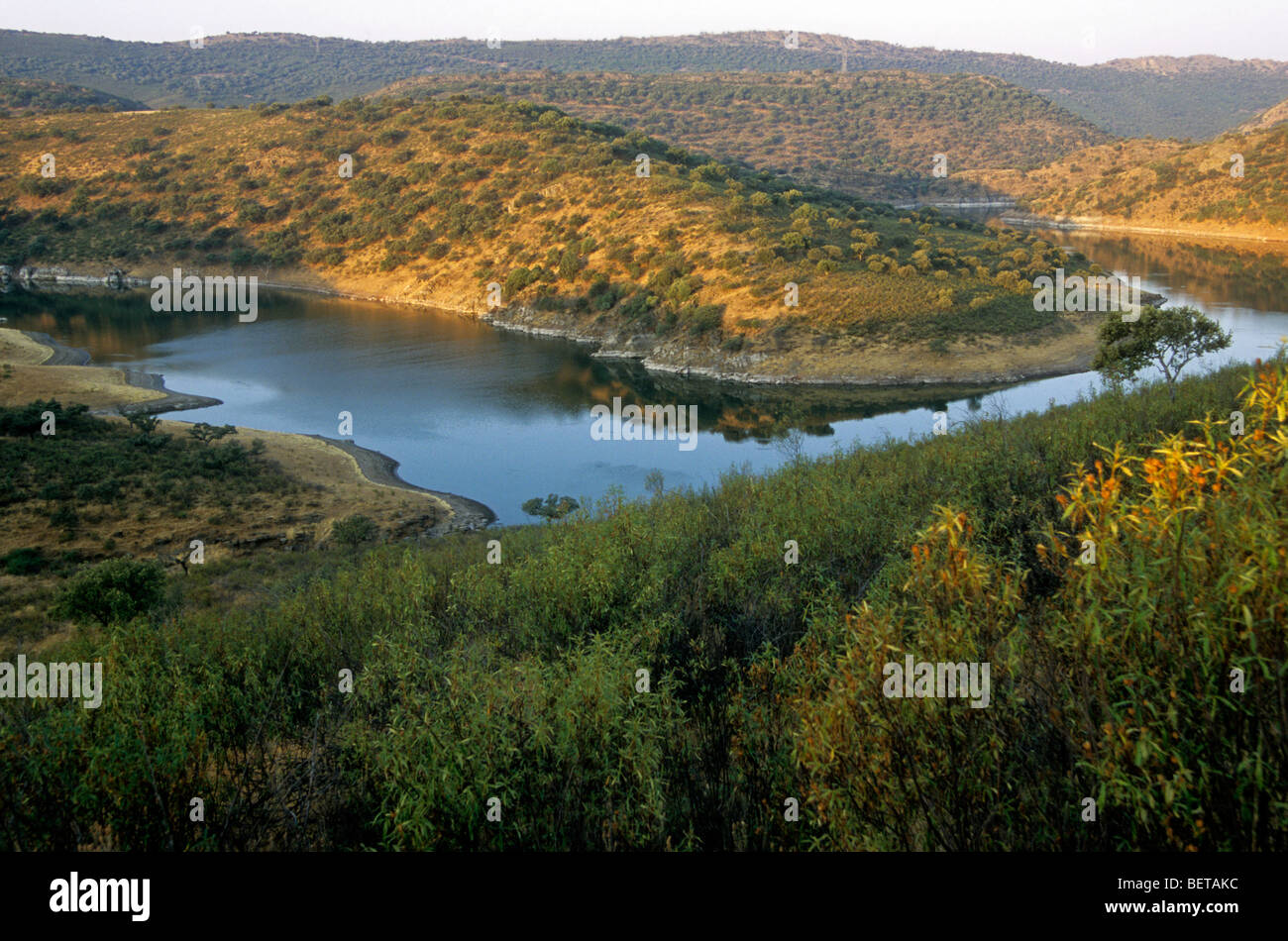 Il fiume Tago in Monfragüe National Park, Estremadura, Spagna Foto Stock