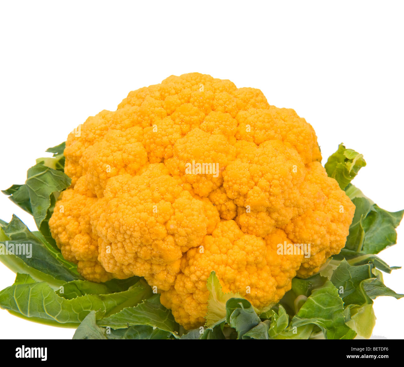 Rosso Arancio giallo tipo di albero di cavolfiore coral fiorellino speciale nuovo tipo ordinare cibo allevamento legumi frutta verdura veggie fres Foto Stock