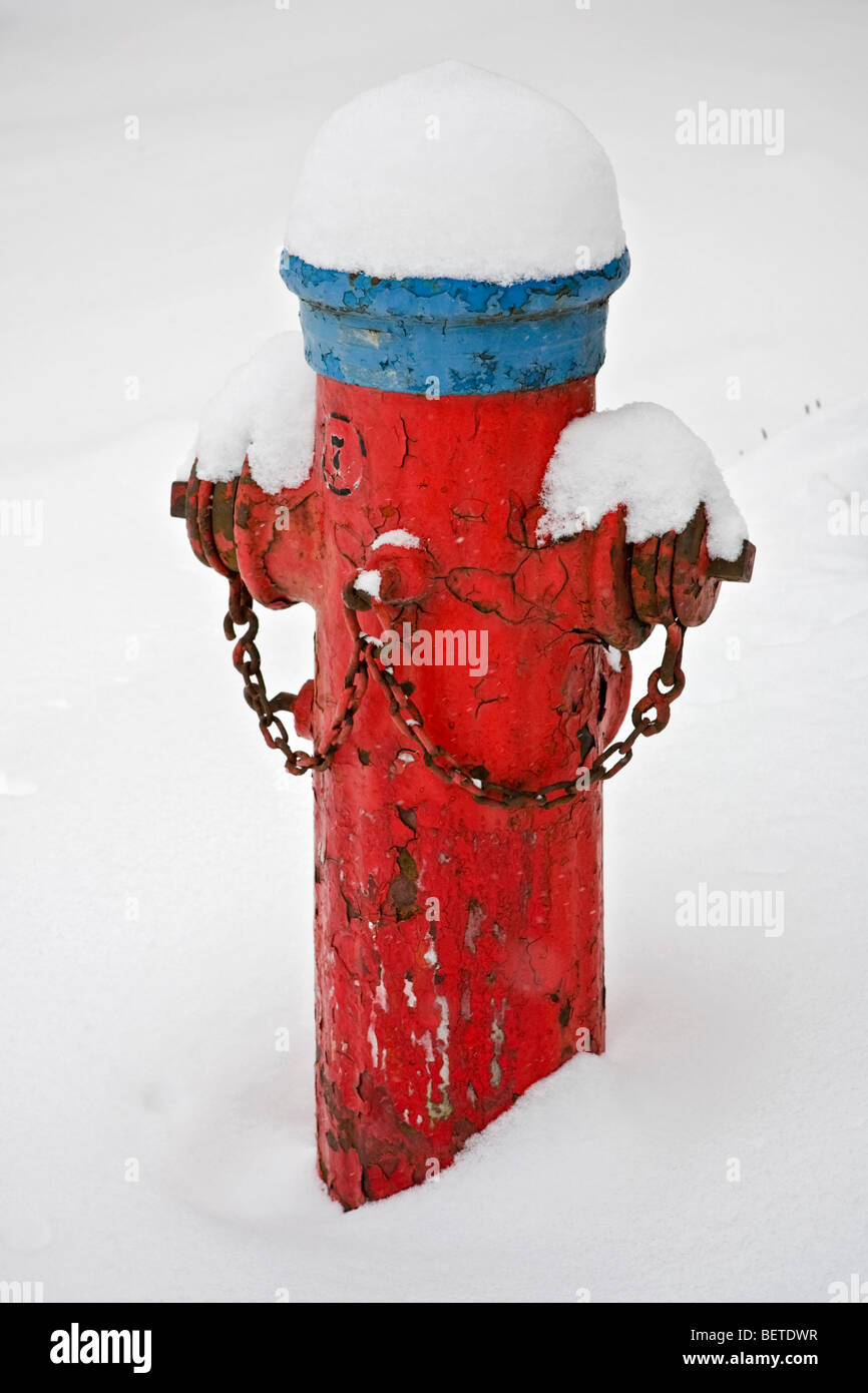 Inverno scena di neve - Montreal Foto Stock