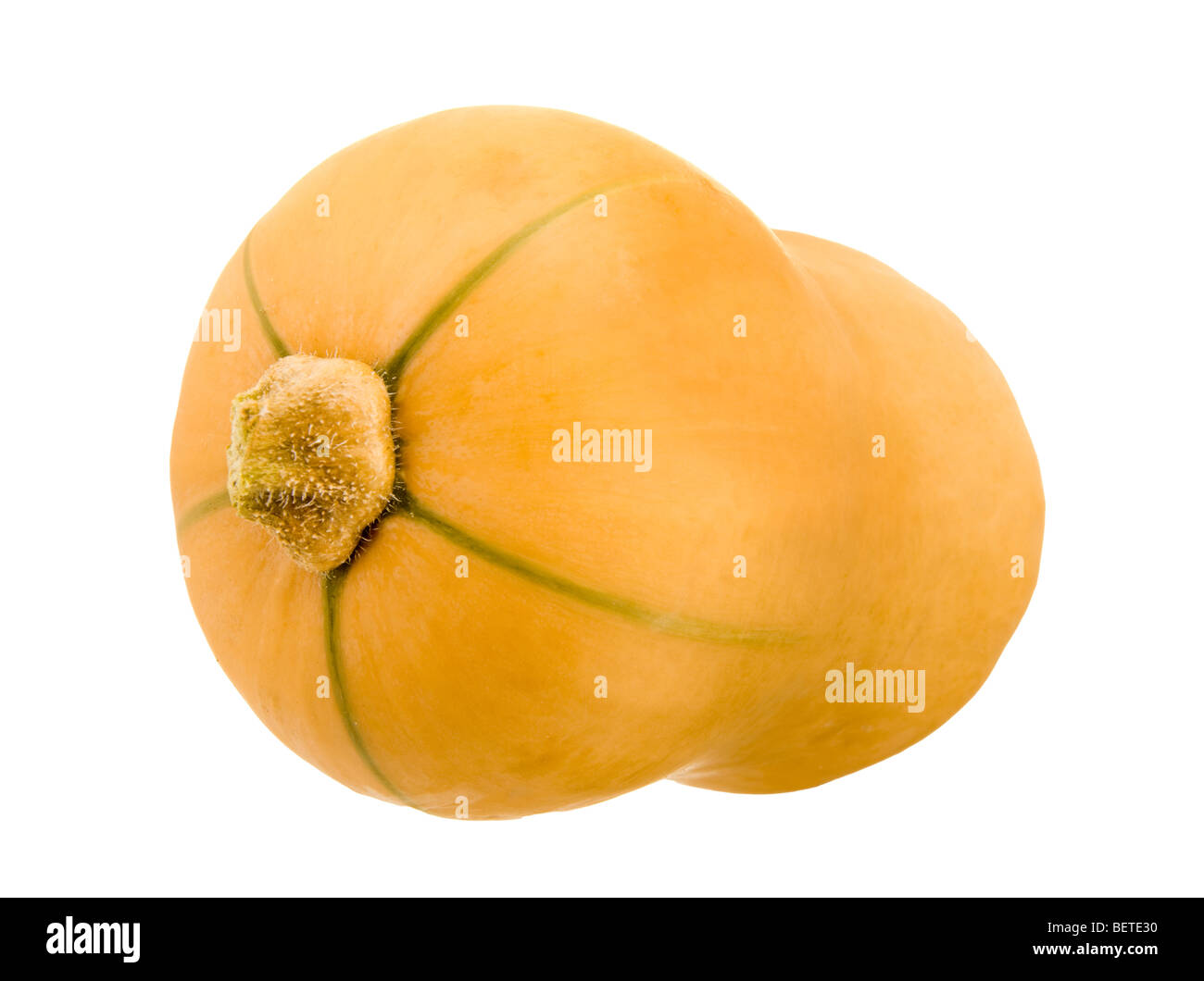 Butternut burro dado zucca zucca zucca di midollo cucurbit cibo speciale legumi frutta verdura fresca veggie pelle crimpy ruffy Foto Stock