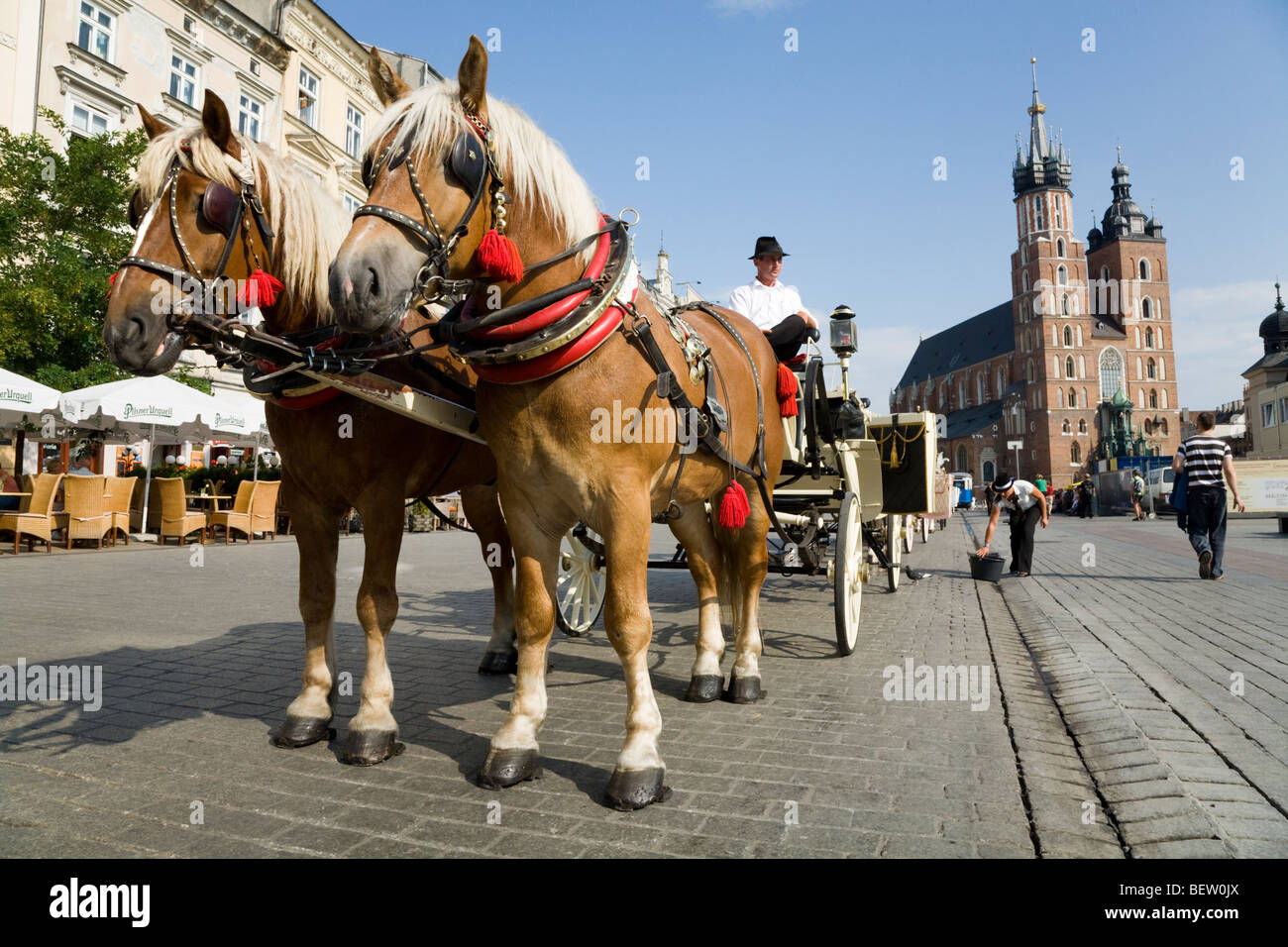 Carrozza a cavallo, in attesa di passeggeri per turismo, nella piazza principale del mercato / Markt Square, & St Marys Basilica. Cracovia. La Polonia. Foto Stock