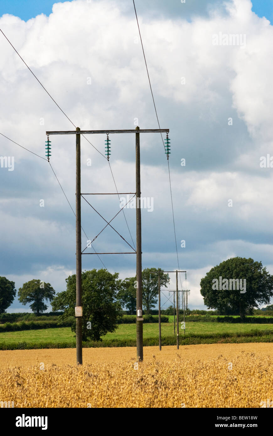 Elettricità traliccio in Herefordshire cornfield Foto Stock