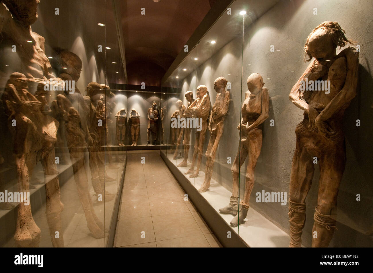 Le mummie sul display a El Museo De Las Momias (Le Mummie' museo), Guanajuato, Messico. Foto Stock