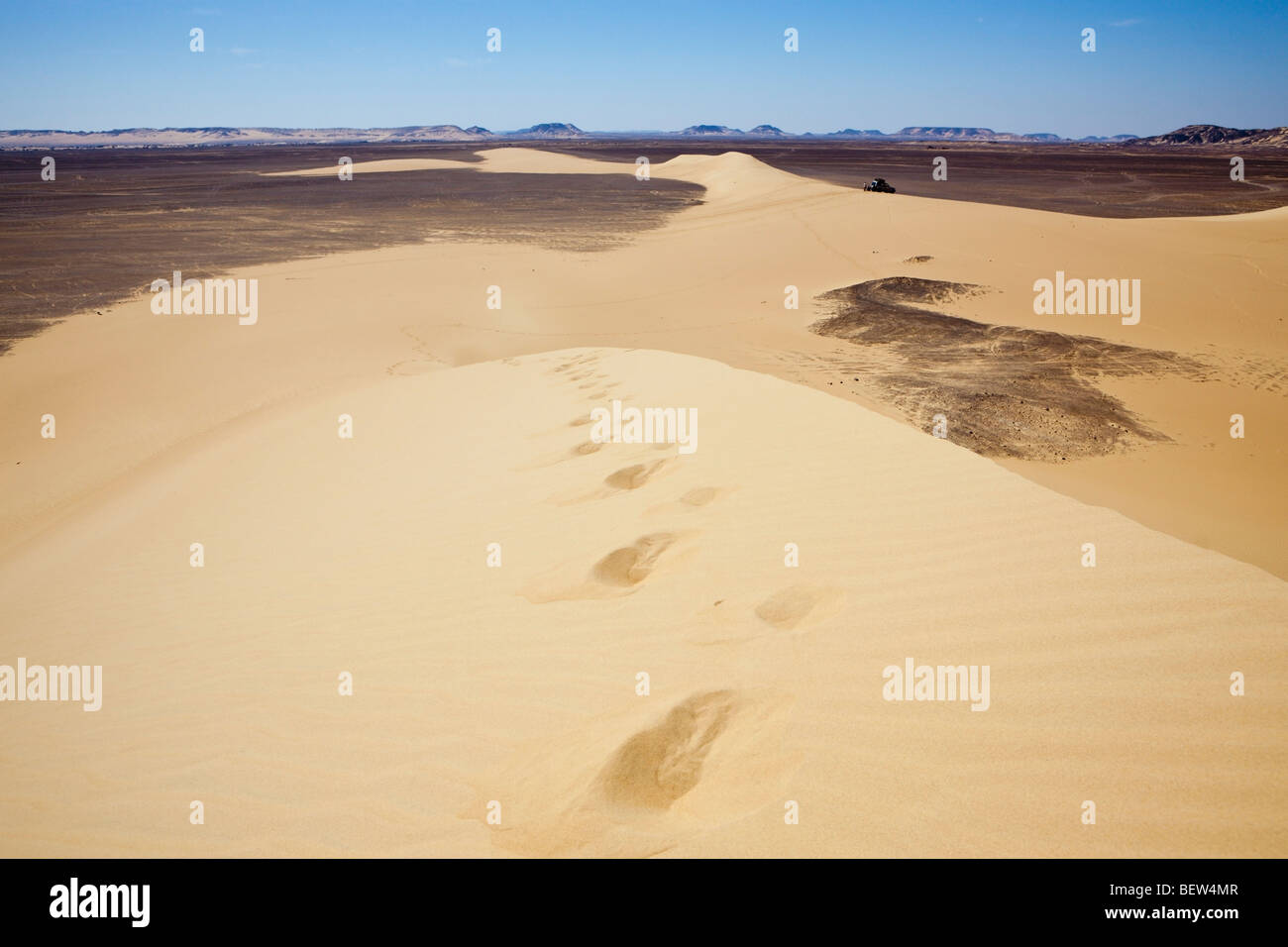 Nel deserto libico immagini e fotografie stock ad alta risoluzione - Alamy