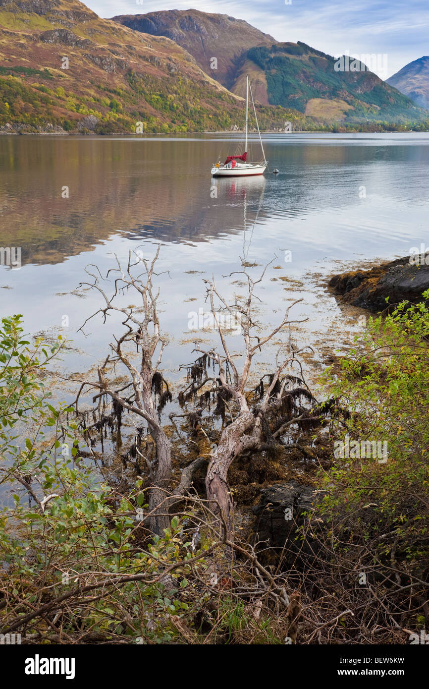 Loch Duich Foto Stock