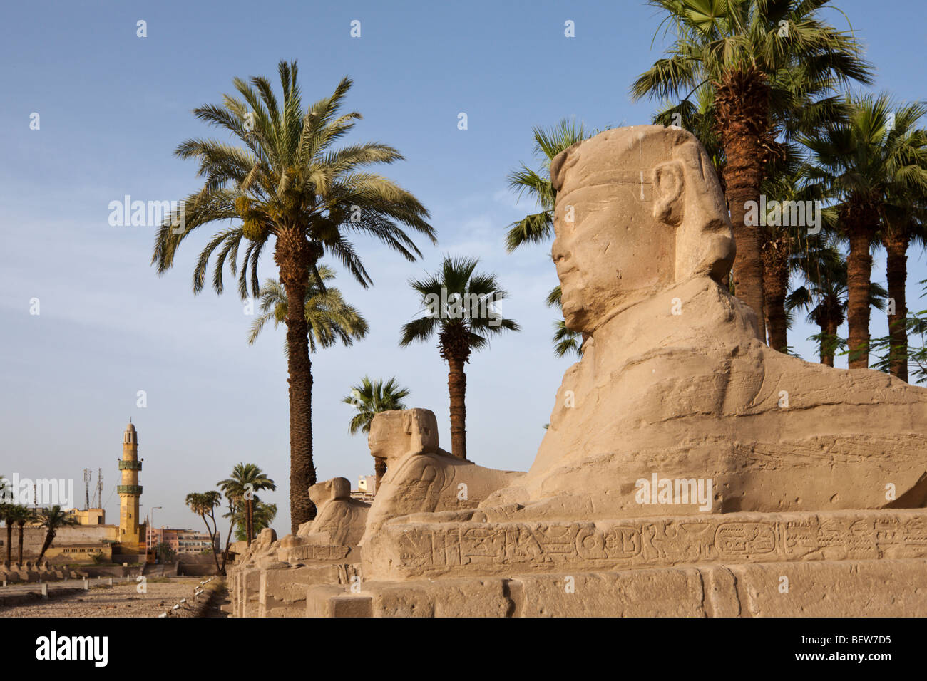 Vicolo di sfingi di Tempio di Luxor Luxor Egitto Foto Stock