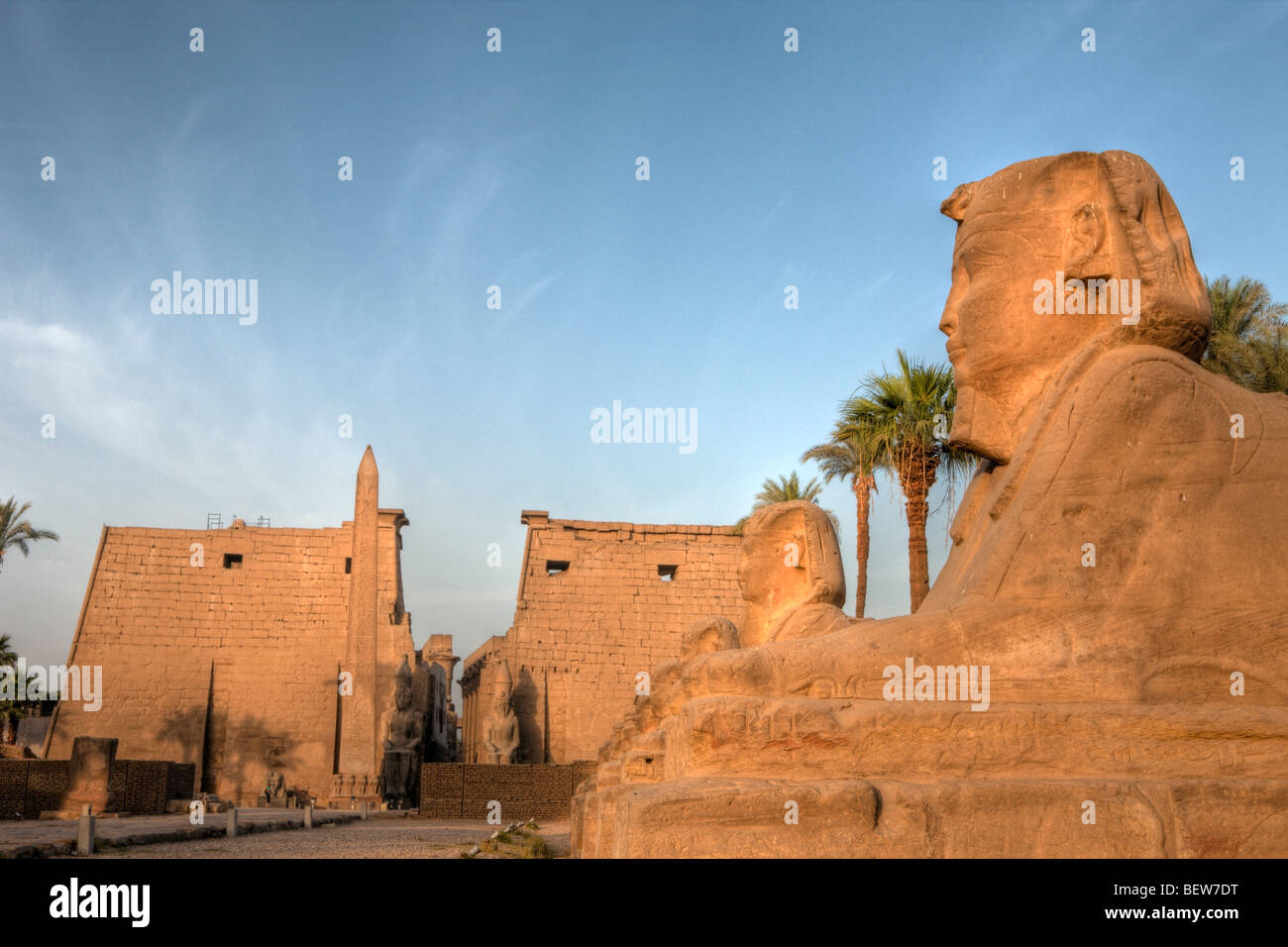 Vicolo di sfingi di Tempio di Luxor Luxor Egitto Foto Stock