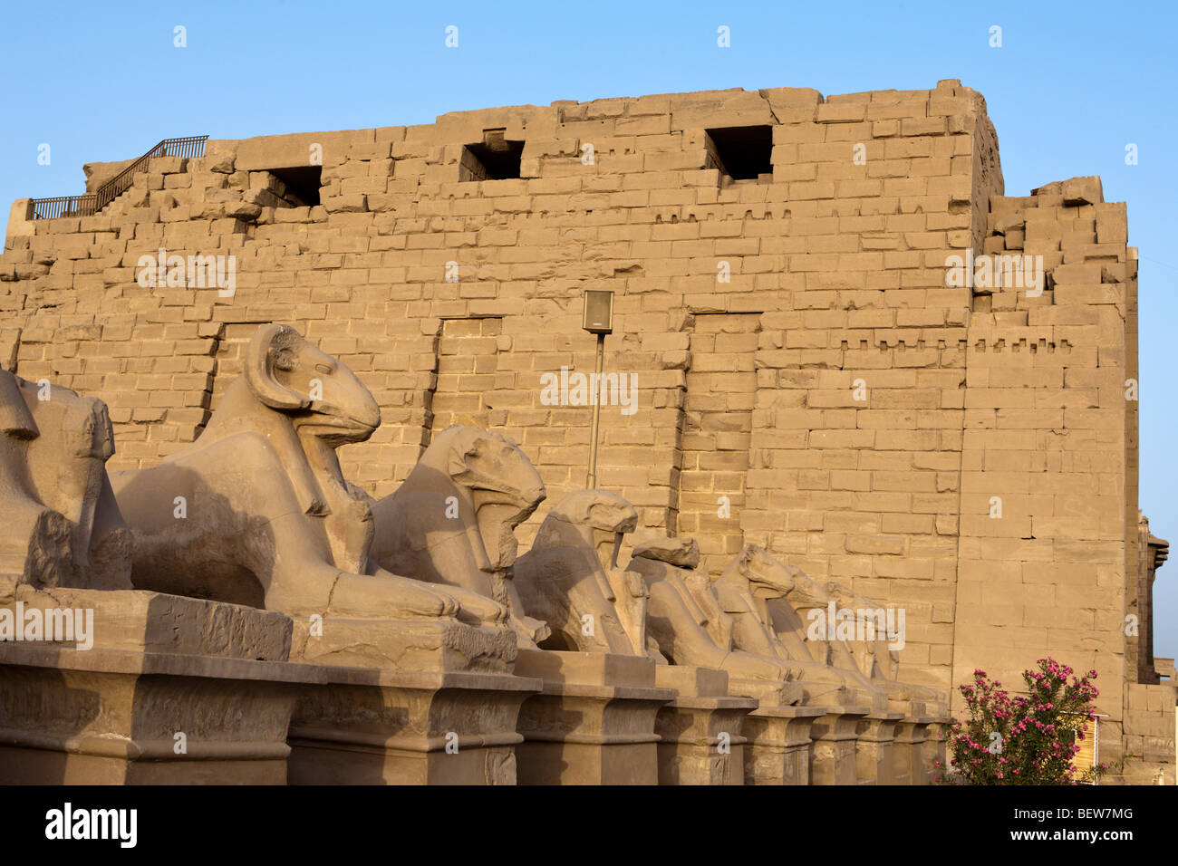 Fila di Ram-guidato sfingi di Tempio di Karnak Luxor Egitto Foto Stock