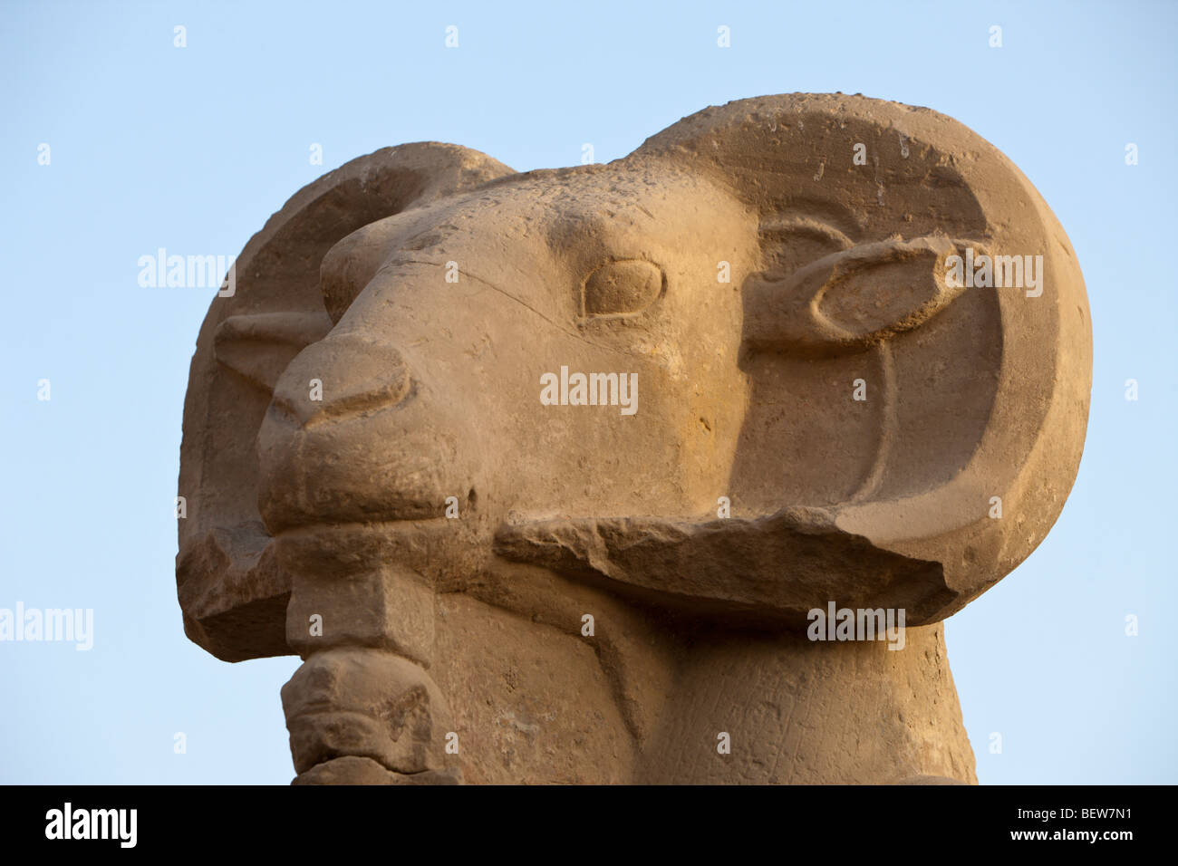 Fila di Ram-guidato sfingi di Tempio di Karnak Luxor Egitto Foto Stock