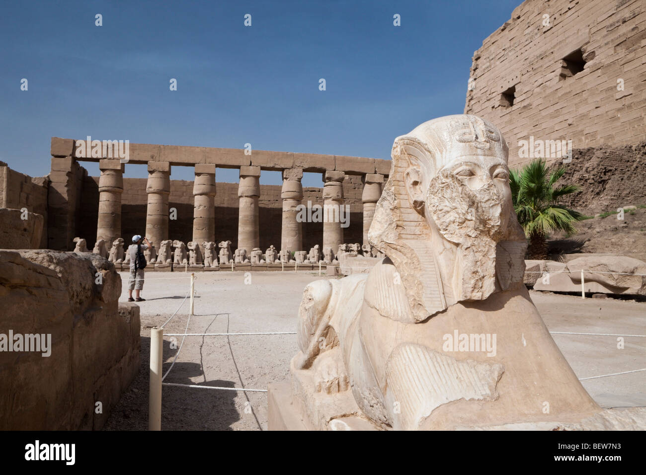 Sphinx al Tempio di Karnak Luxor Egitto Foto Stock