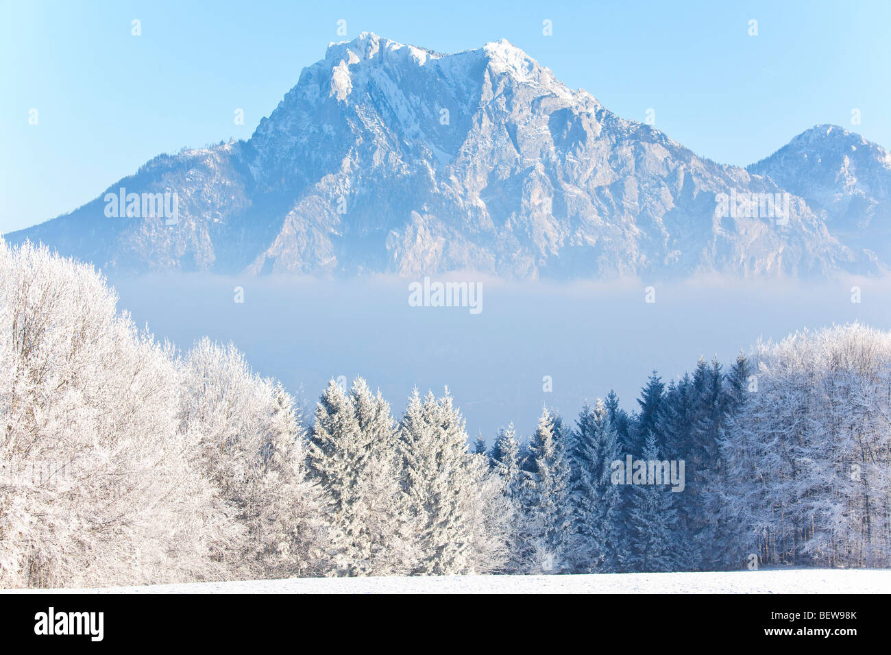 Vista su neve alberi coperti di una montagna, Altm'nster, Gmunden Austria Foto Stock