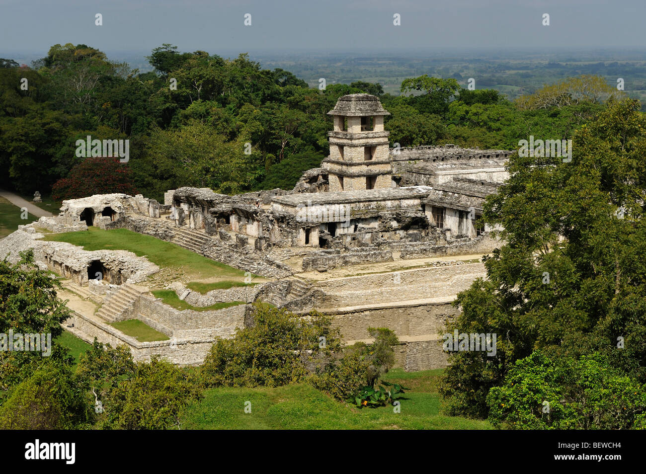 Le rovine di un palazzo Maya a Palenque, Chiapas, Messico, vista in elevazione Foto Stock