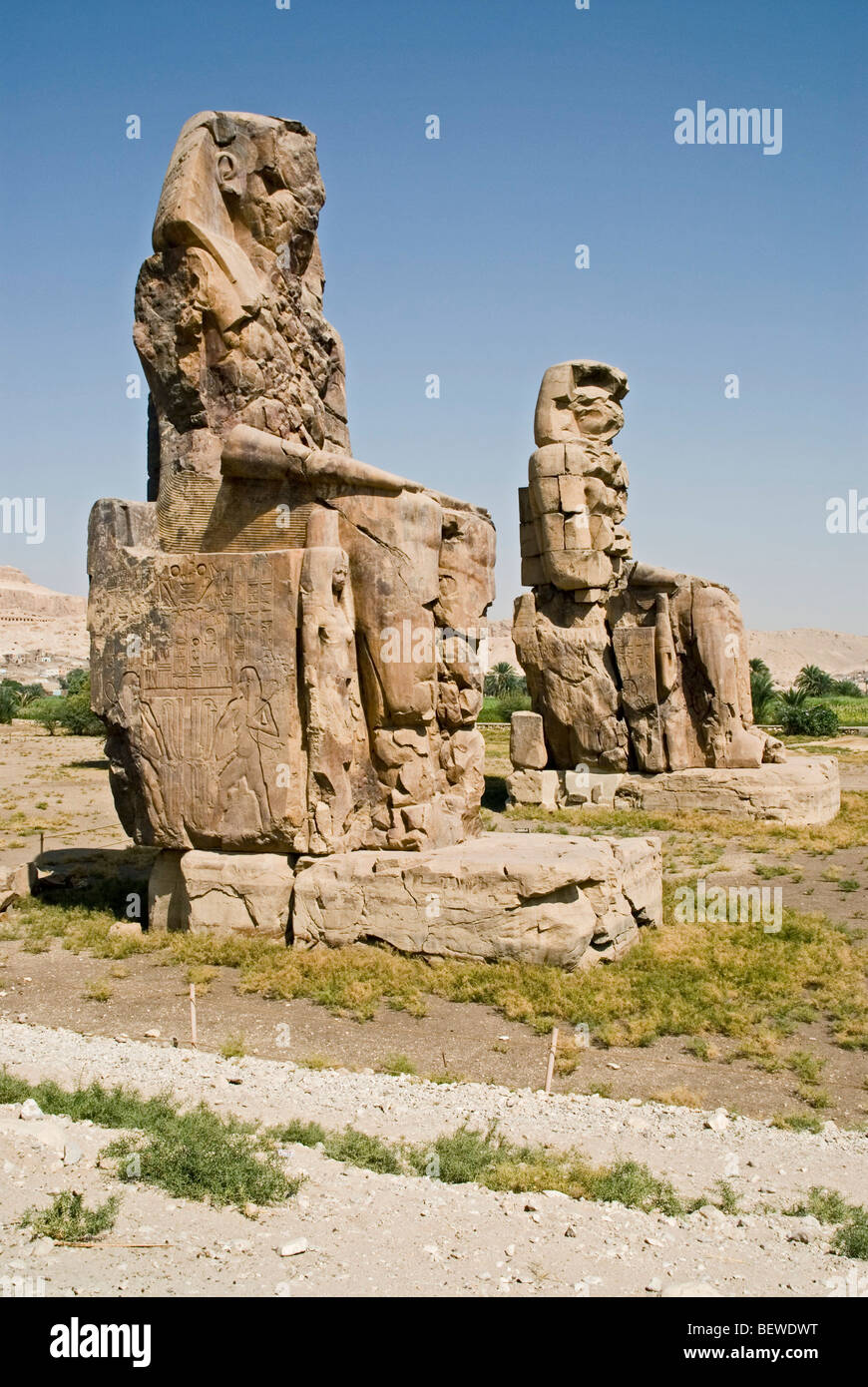 Colosso di Memnon a Luxor, Egitto Foto Stock