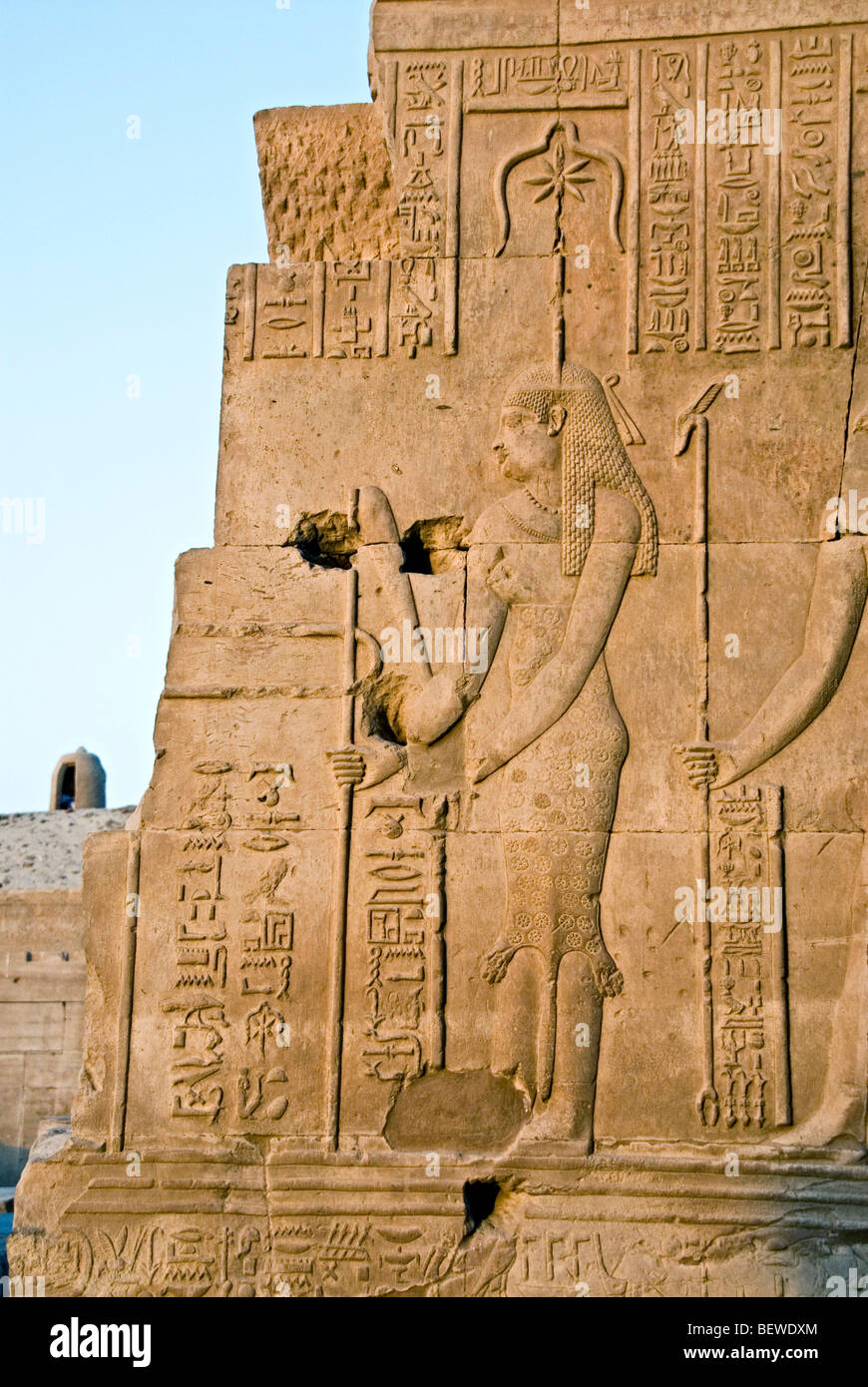 Rilievo su di una parete del Tempio di Kom Ombo, Egitto, close-up Foto Stock