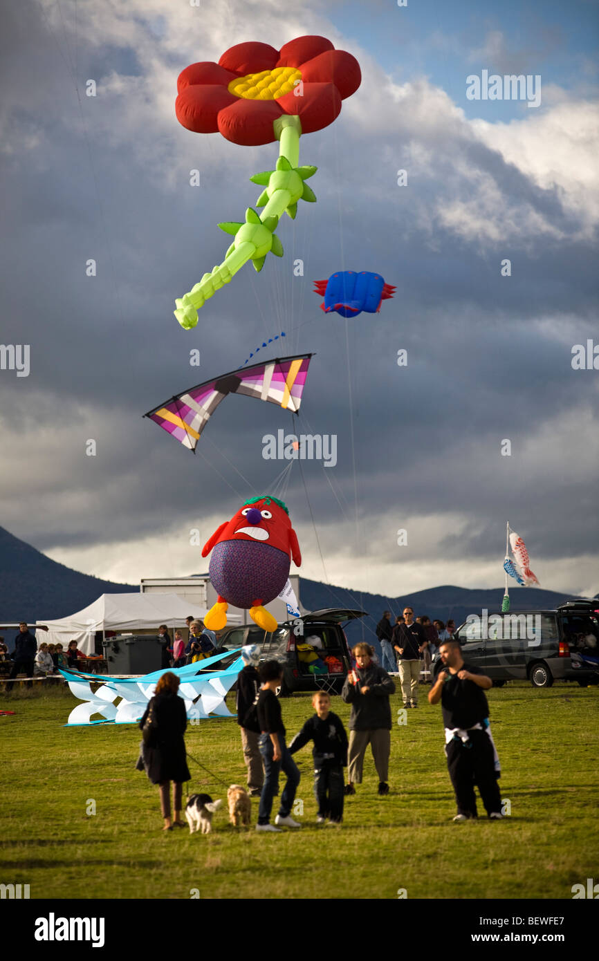 Aquiloni al momento della 'Cervolix' Air Festival, sull'altopiano di Gergovie (La Roche Blanche - Puy de Dôme - Auvergne - Francia). Foto Stock