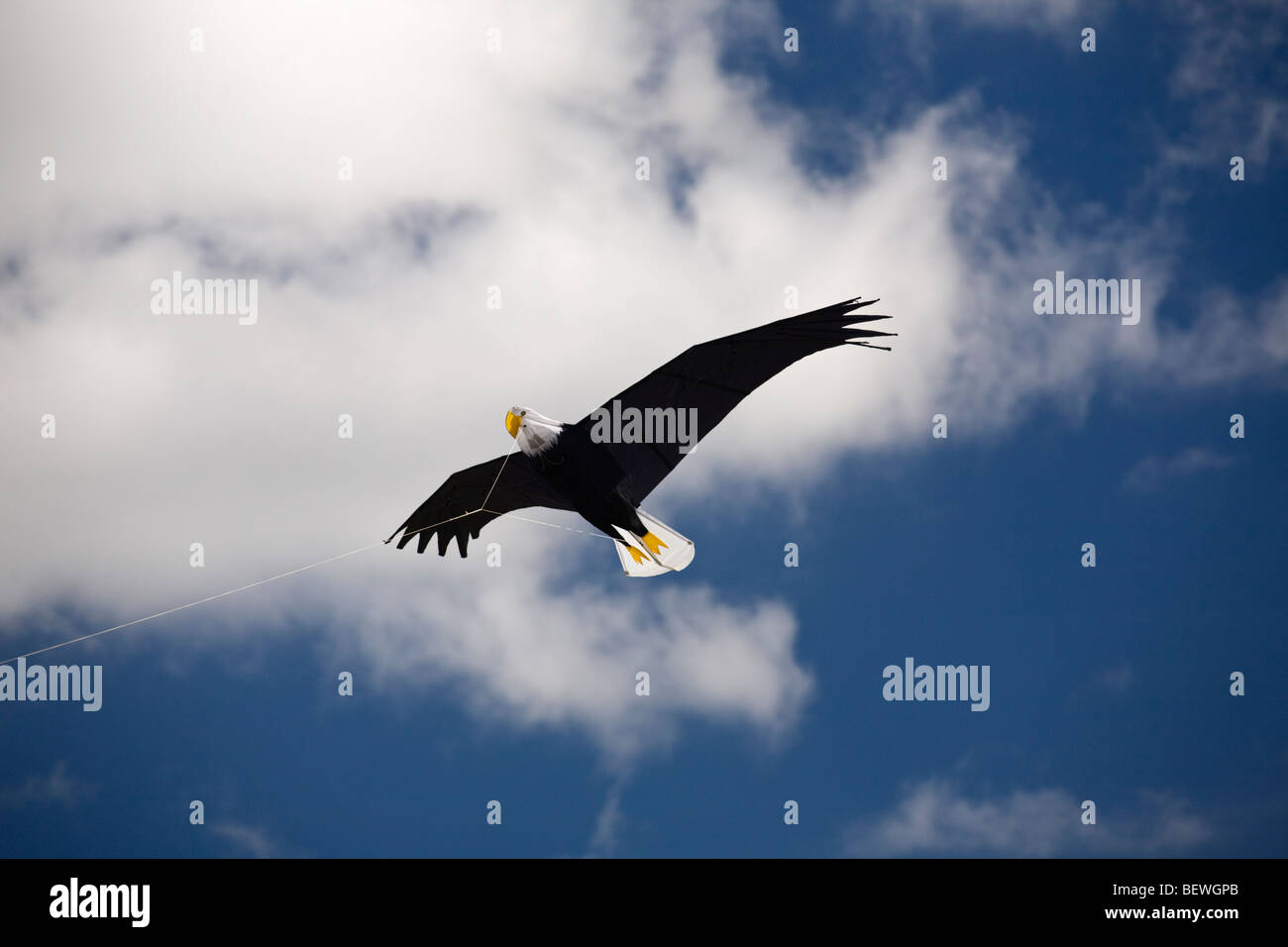 Un aquila-kite sagomata, al momento della 'Cervolix' Air Festival (Auvergne - Francia). Onu-Cerf Volant en forme d'Aigle (Alvernia). Foto Stock