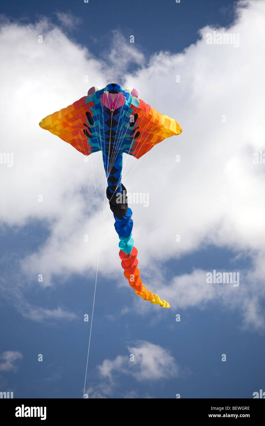 Un aquilone volante al momento della 'Cervolix' Air Festival (Auvergne - Francia). Cerf-volant Lors du festival aérien " Cervolix'. Foto Stock