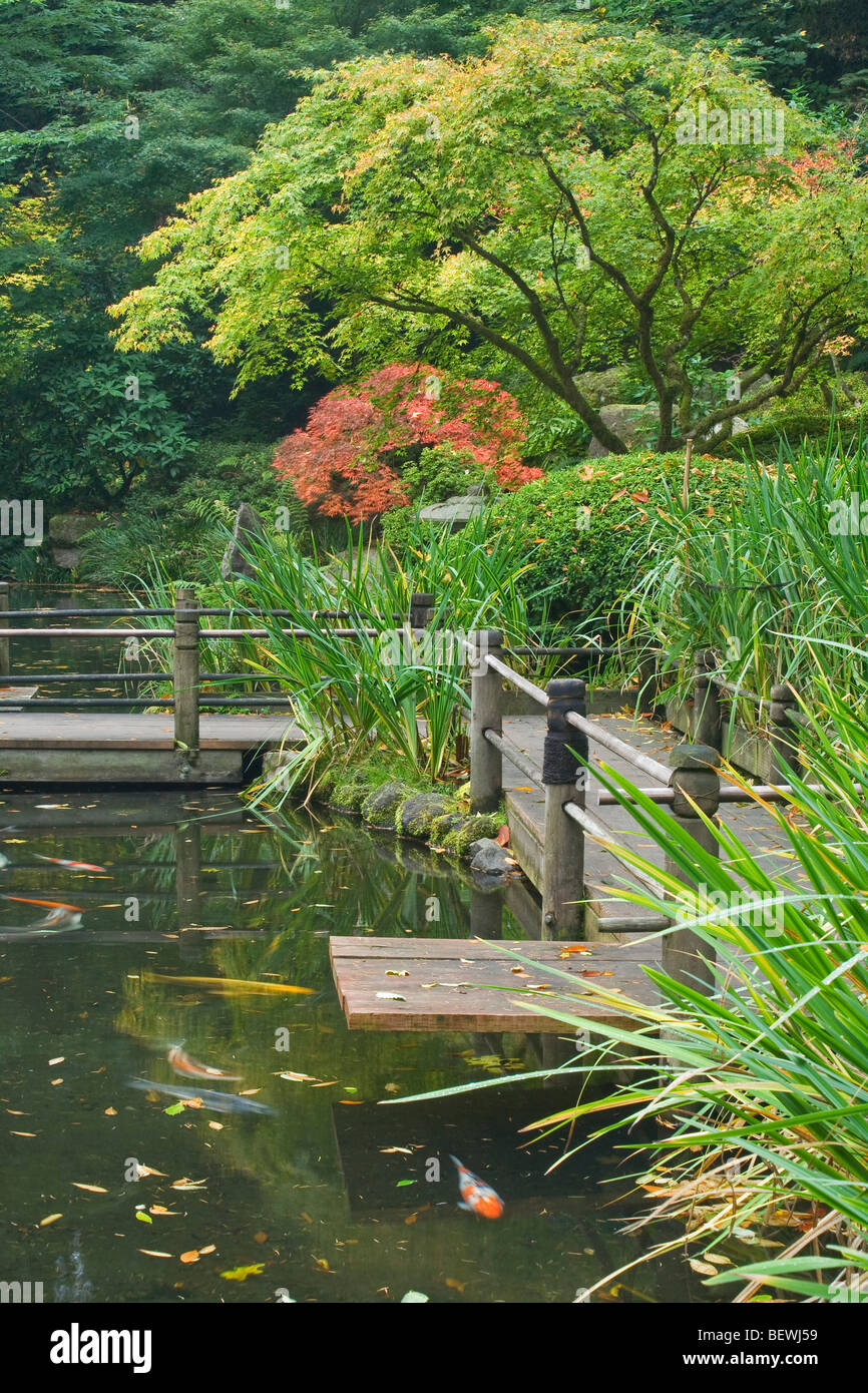 Alberi con un laghetto in giardino, Giardino Giapponese, Portland, Oregon, Stati Uniti d'America Foto Stock
