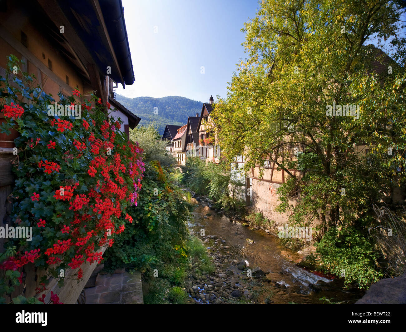 Tipico alsaziano di case situate lungo il fiume Weiss a Kaysersberg Alsace Francia Foto Stock
