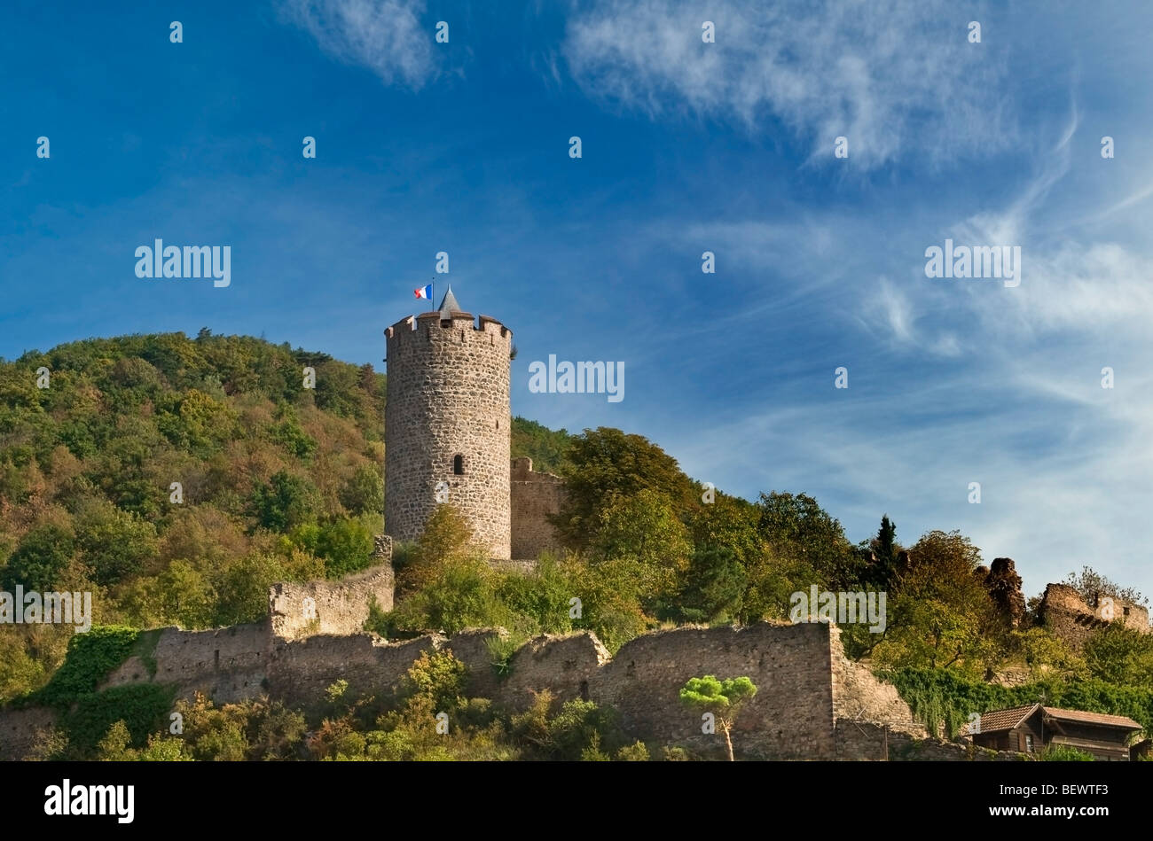 Il castello di Kaysersberg impostato nei vigneti in alto sopra la città medievale di Kaysersberg Alsace Francia Foto Stock