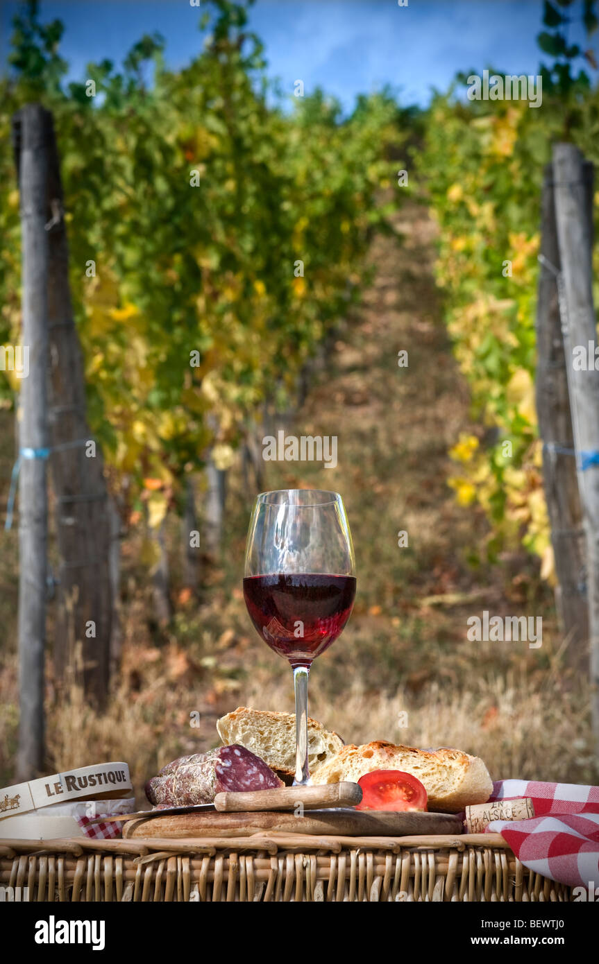 Pic-nic francese ALFRESCO vino Vigna picnic a pranzo vino rosso con pane e formaggio Salsiccia in vigna francese Francia Foto Stock