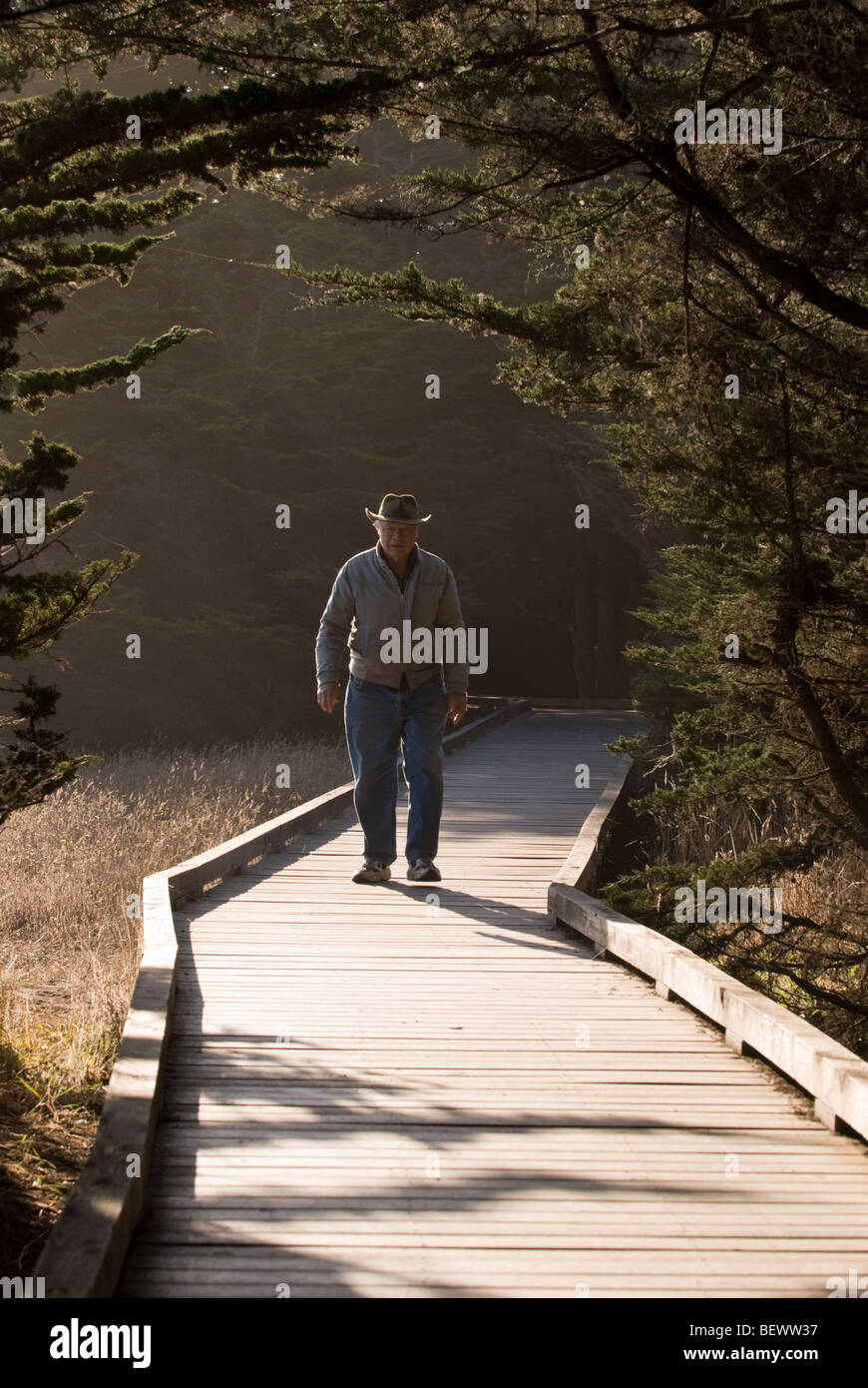 Un uomo prende una passeggiata mattutina lungo la passerella in MacKerricher State Park, California. Foto Stock