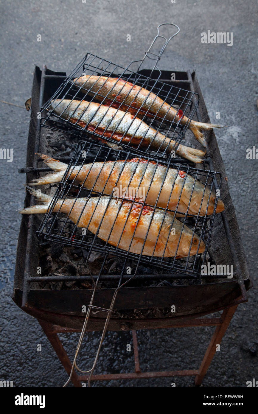 Char grigliate di pesce, Malaysia Foto Stock