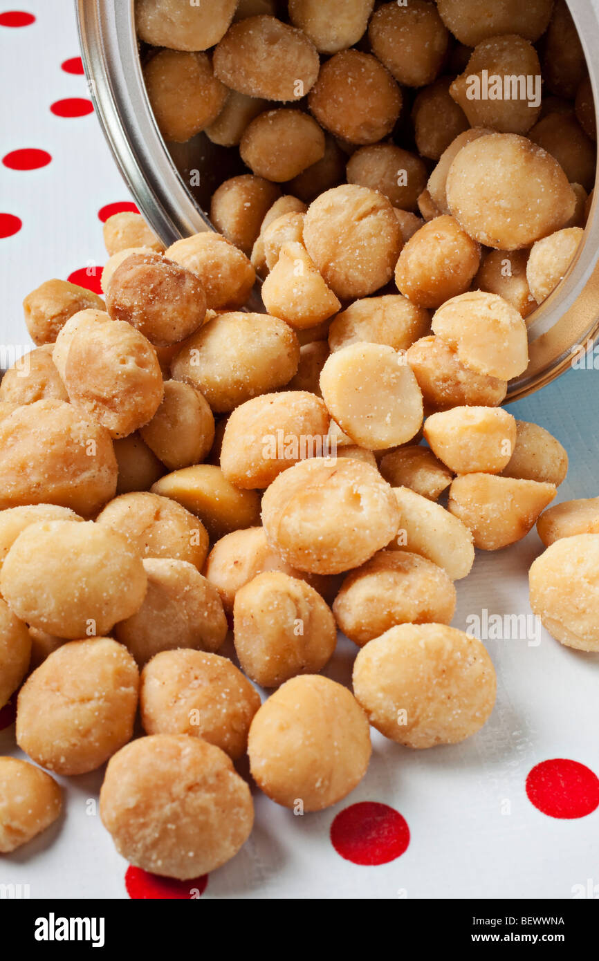 Noci di Macadamia fuoriuscita di can Foto Stock