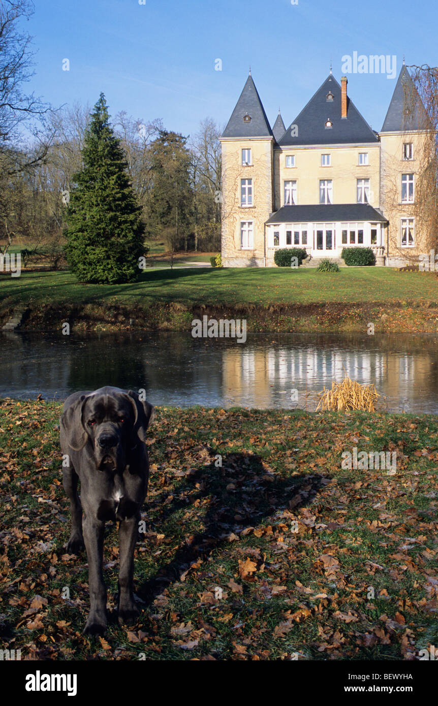 Chateau d Adomenil, Castello , Ristorante, Rehainviller, Luneville, Lorena, Francia Foto Stock