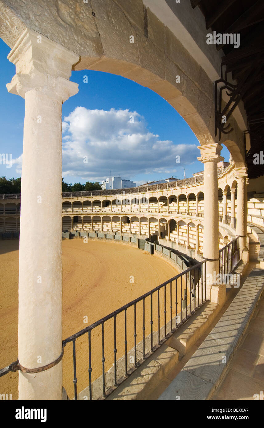 Bull lotta arena di Ronda, la più antica in Spagna. Foto Stock