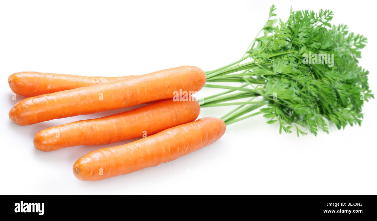 La carota su sfondo bianco Foto Stock