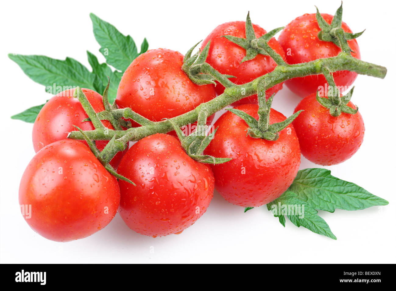 Pomodori, oggetto su sfondo bianco Foto Stock