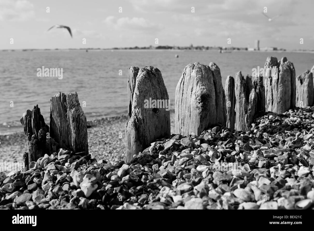 Vecchio legno posti sulla riva del mare Foto Stock