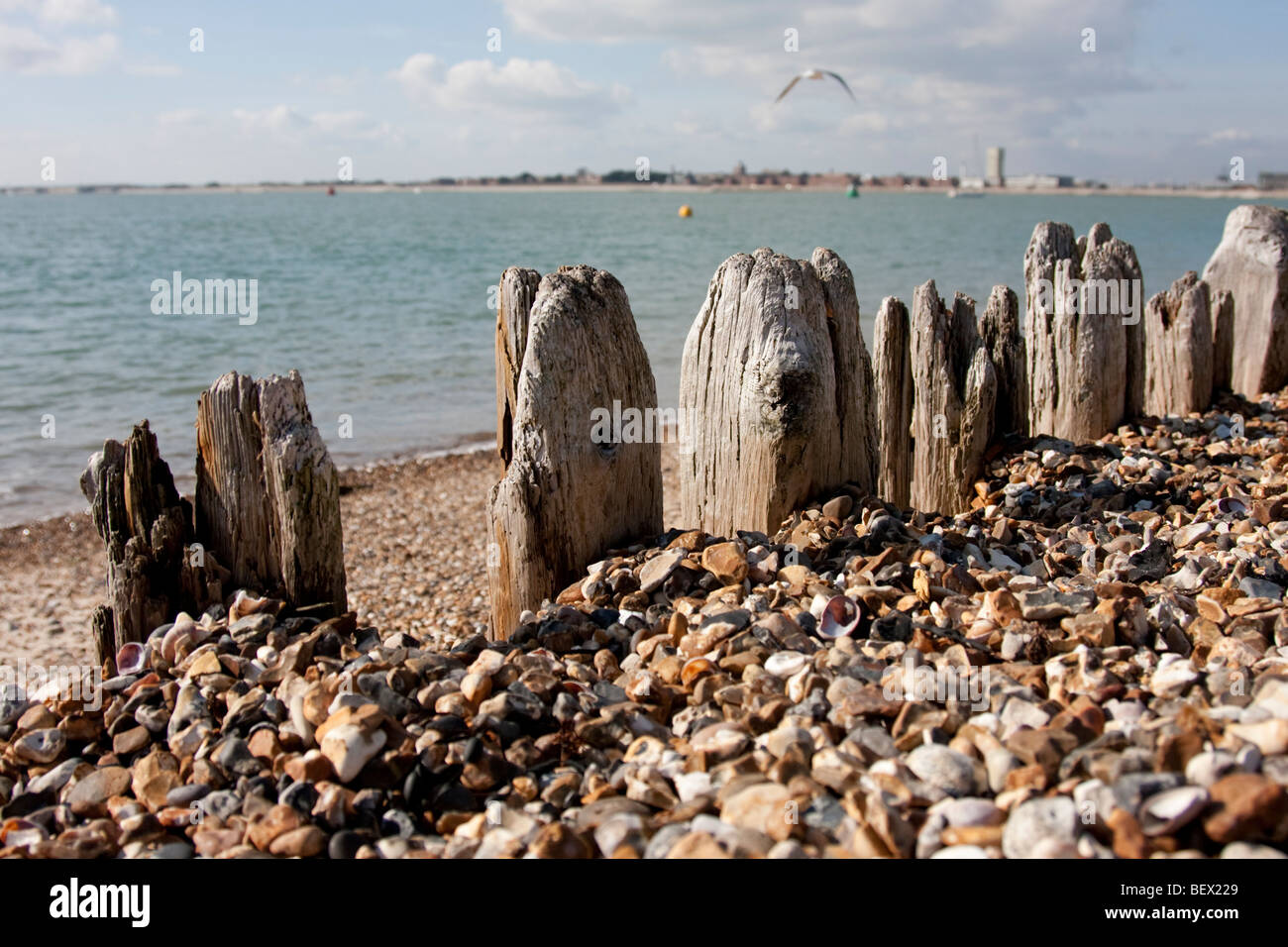 Vecchio legno posti sulla riva del mare Foto Stock