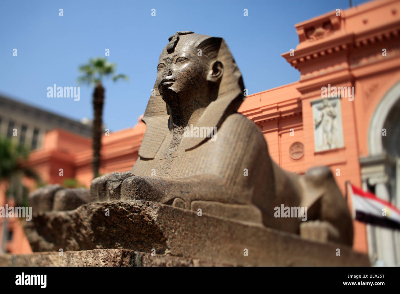 Scultura dell'antica sfinge egizia all'esterno del Museo Egizio, il Cairo - vista selettiva. Foto Stock