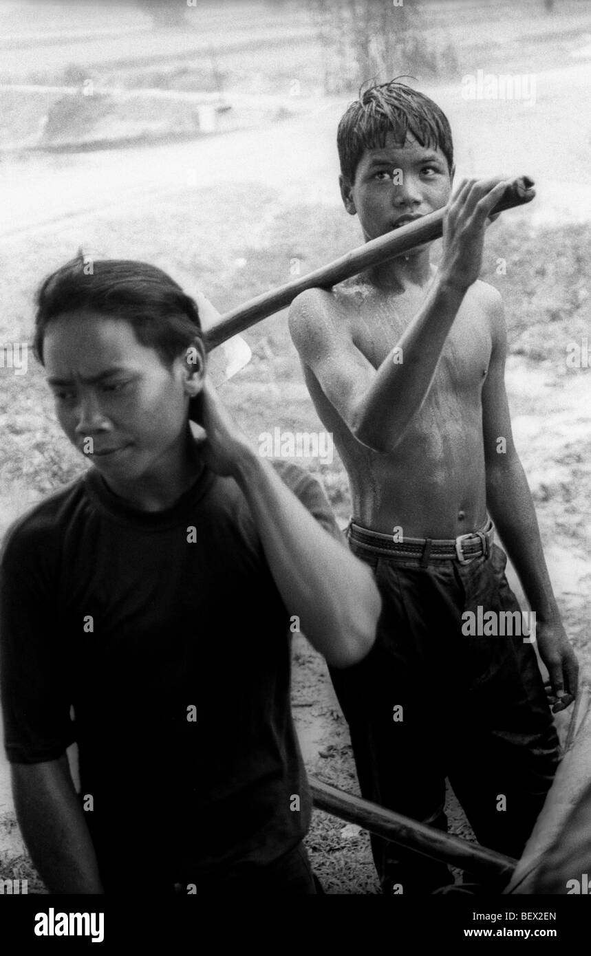 Agricoltura cambogiano Foto Stock