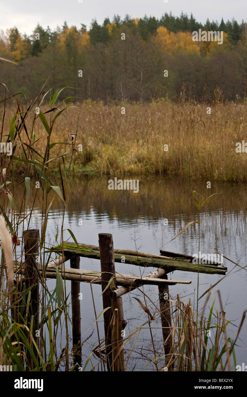 Fiume Slocene Kemeru nel Parco Nazionale della Lettonia Foto Stock