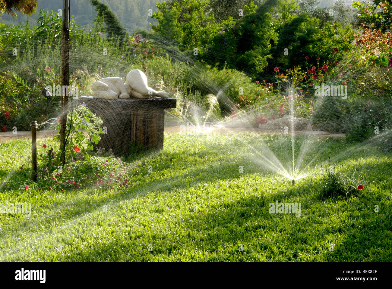 Gli sprinkler acqua un giardino Foto Stock