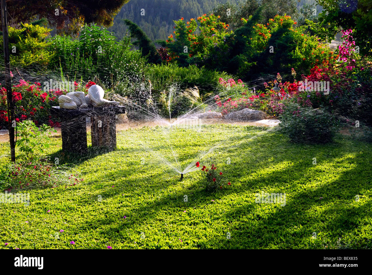 Gli sprinkler acqua un giardino Foto Stock