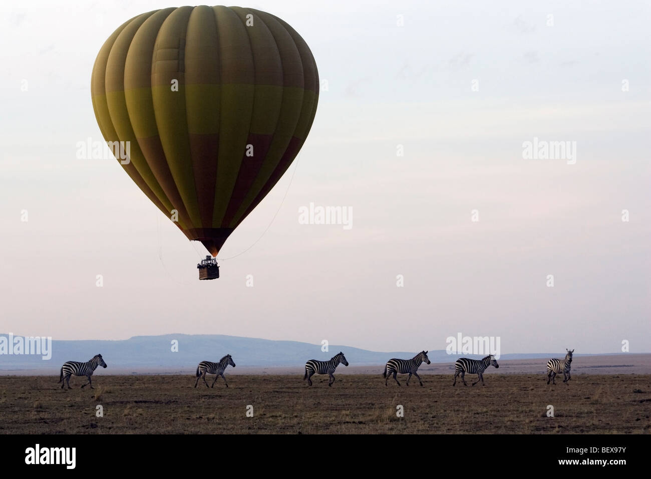 In mongolfiera ad aria calda sopra la Riserva Nazionale di Masai Mara, Kenya Foto Stock