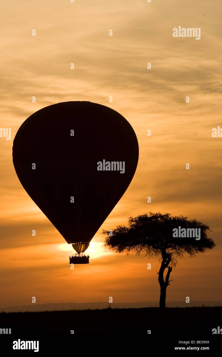 In mongolfiera ad aria calda sopra la Riserva Nazionale di Masai Mara, Kenya Foto Stock