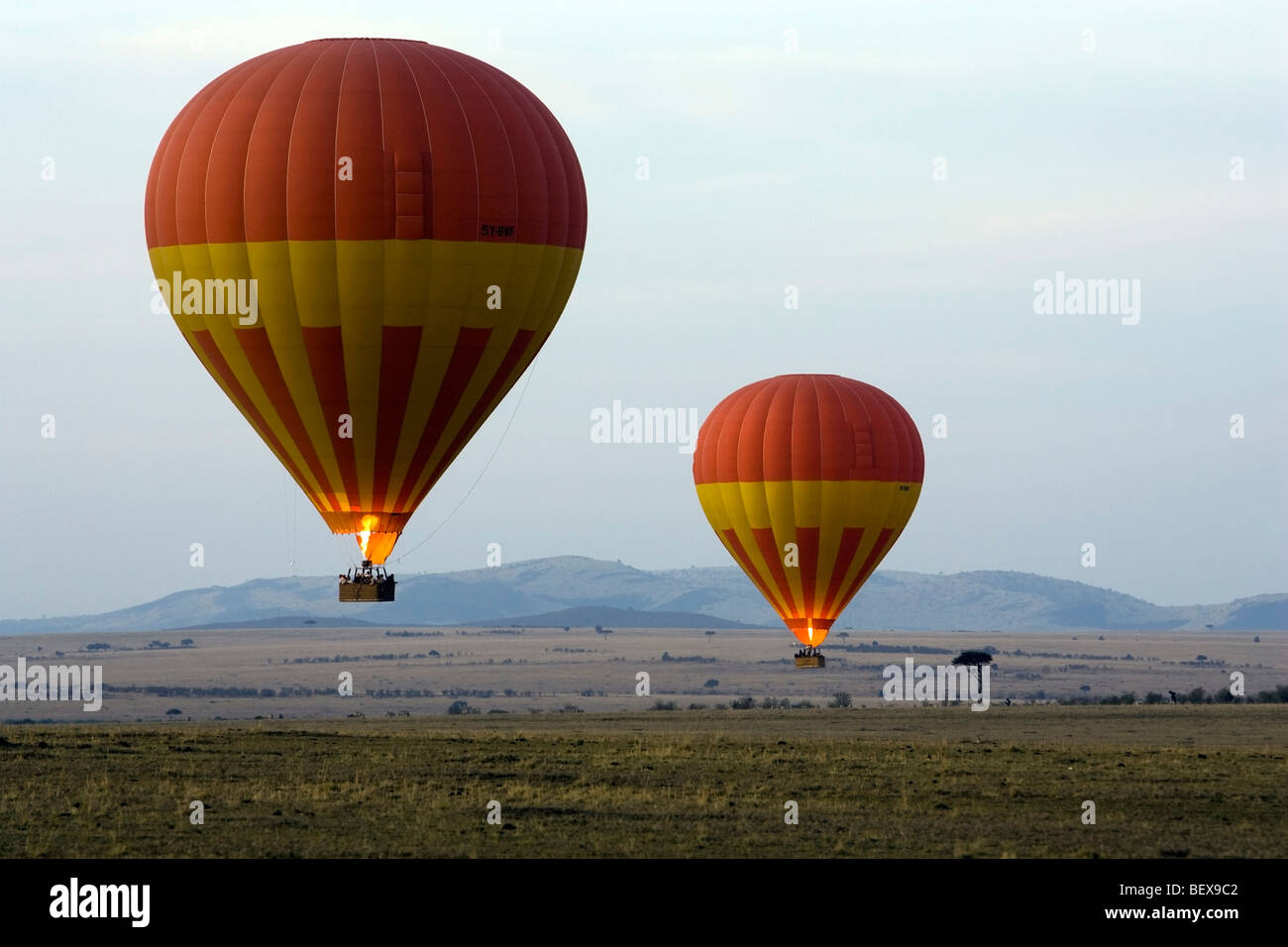 Due i palloni ad aria calda sopra la Riserva Nazionale di Masai Mara, Kenya Foto Stock