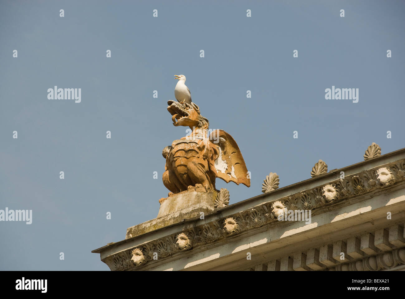 Seagull appollaiato sulla testa di statue Foto Stock