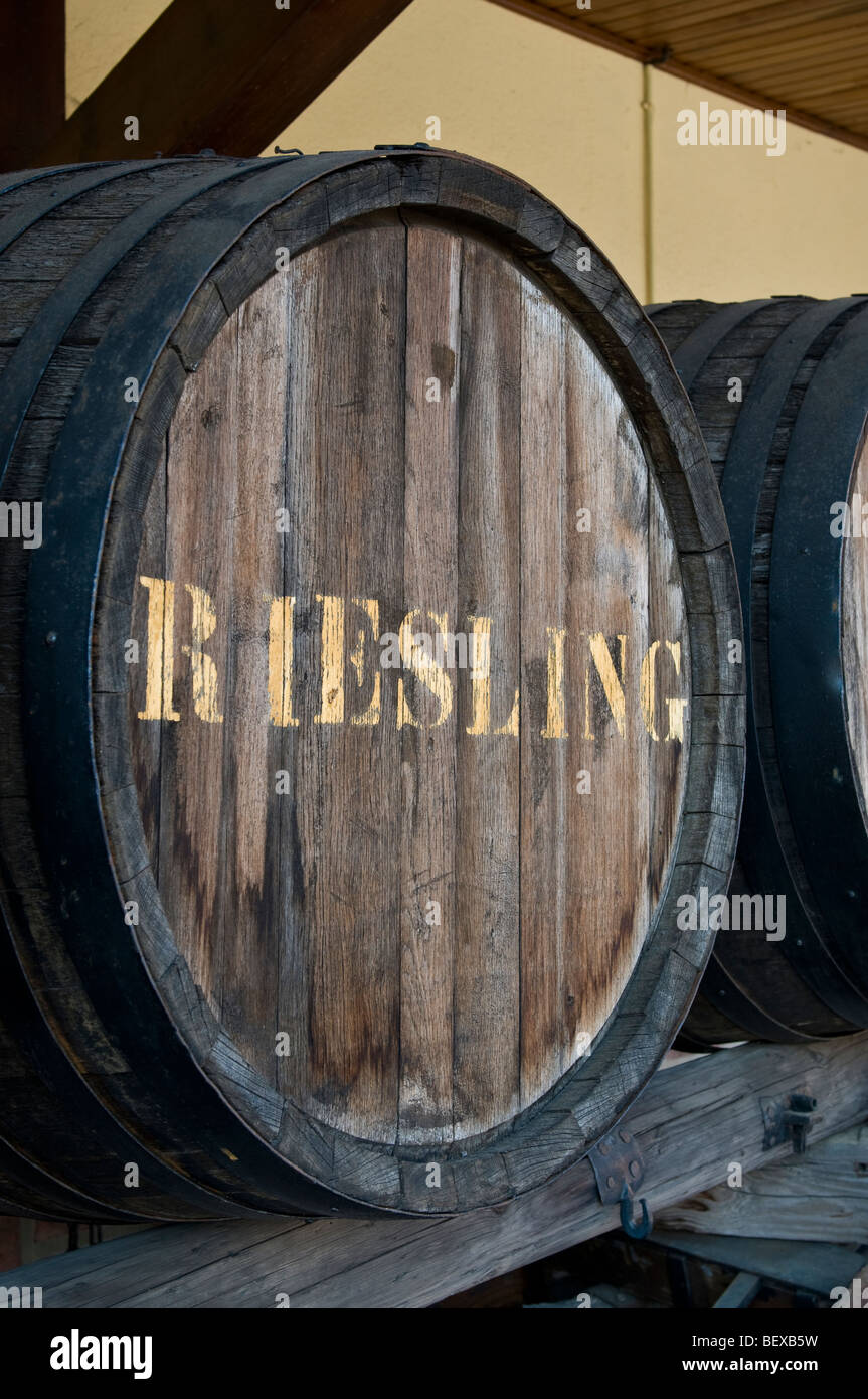 Riesling tradizionale botte di vino etichettato " Riesling " nella tipica cantina Alsace Francia Foto Stock
