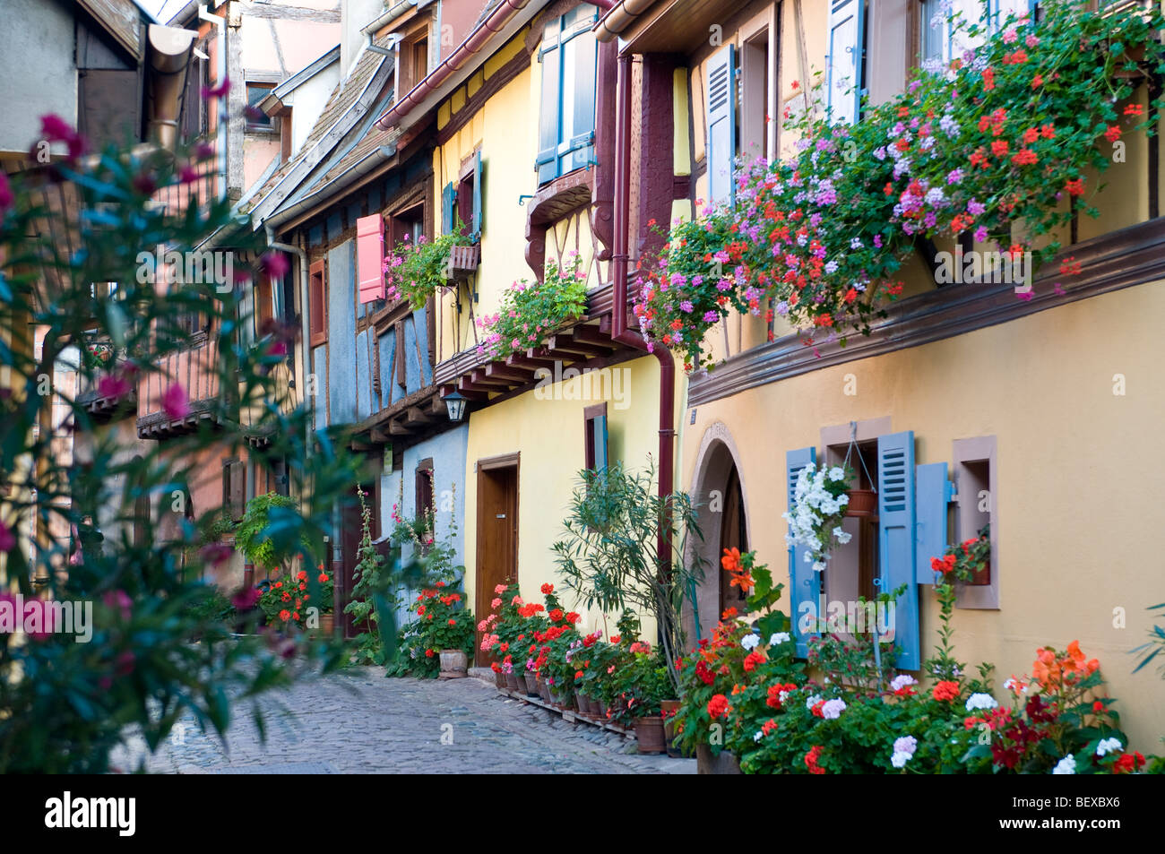 EGUISHEIM tranquilla strada di ciottoli di 'Rue du Rempart' con case tradizionali e floreali caselle della finestra nel borgo medievale di Eguisheim Alsace Francia Foto Stock