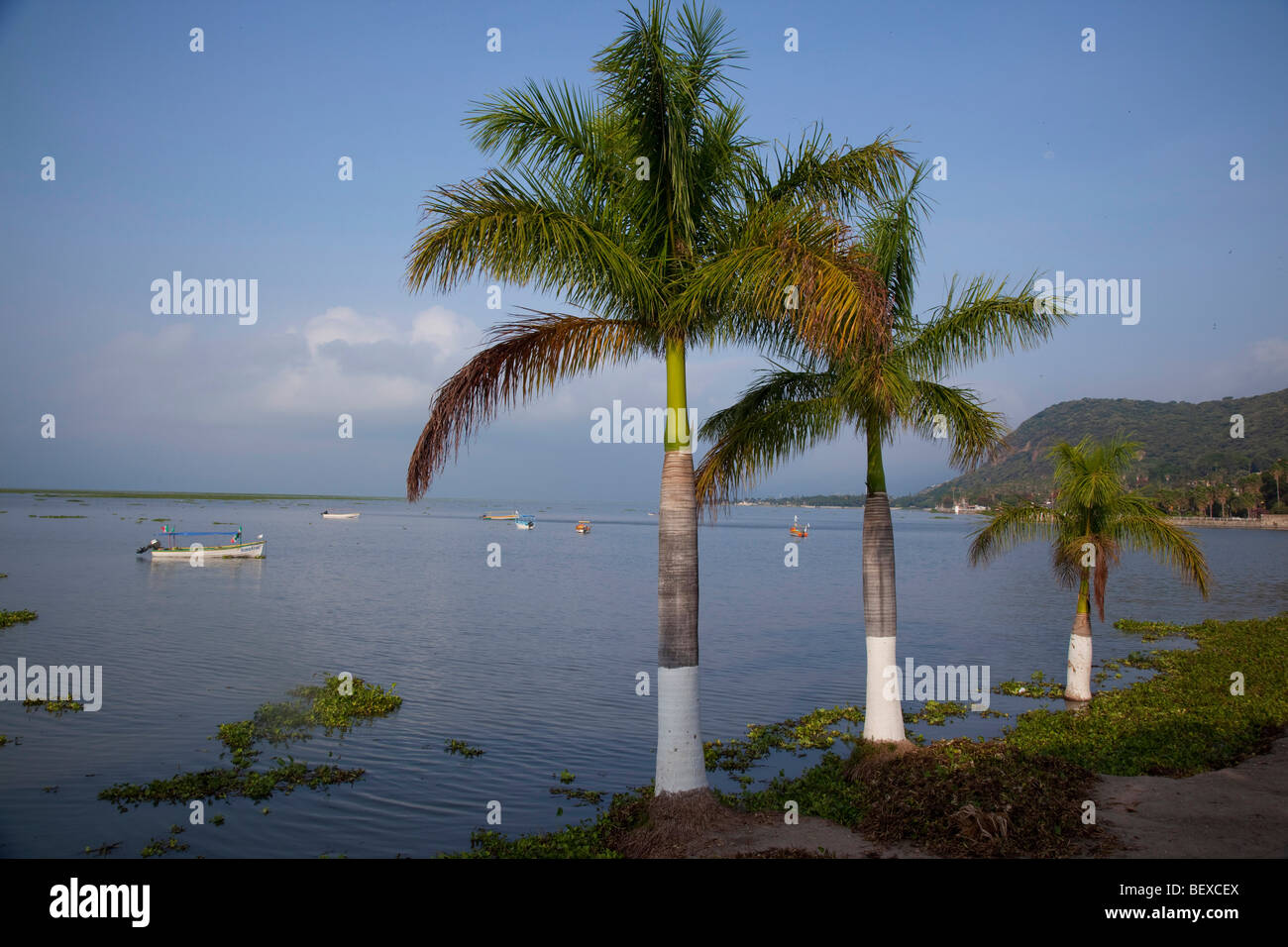 Chapala, lago Chapala, Jalisco, Messico Foto Stock