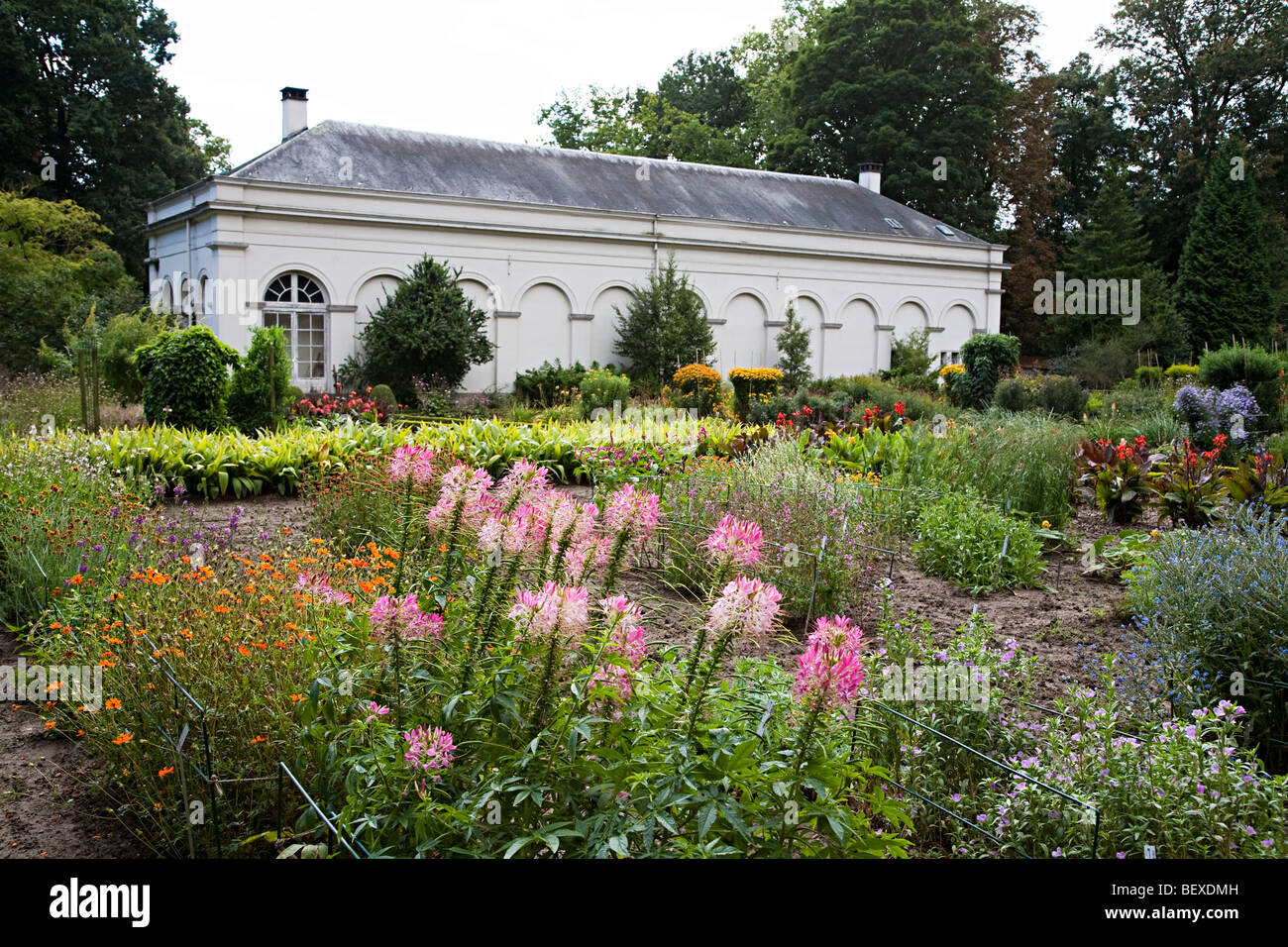 Giardino murato e Orangerie Giardini Botanici Nazionali Nationale Plantentuin Meise Bruxelles Belgio Foto Stock